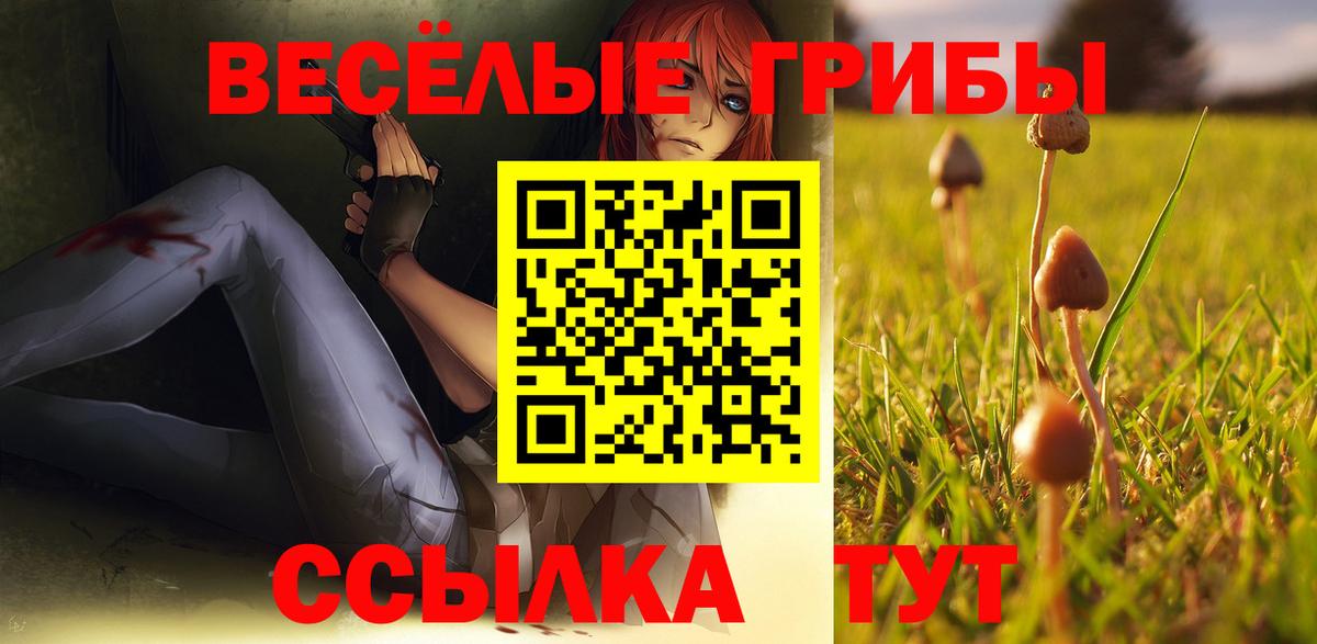 Моршанск  дарнет шоп  Вход с VPN  Псилоцибиновые грибы Psilocybe 