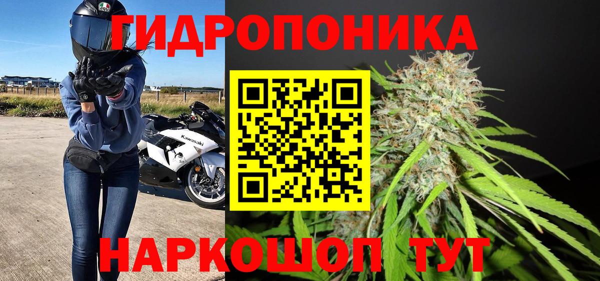 Бошки Шишки SATIVA & INDICA Моршанск